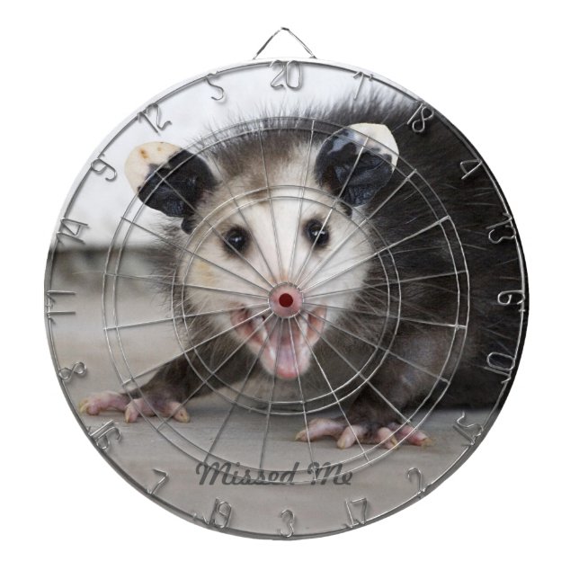 Baby Opossum Dartboard Dart Board (Front)