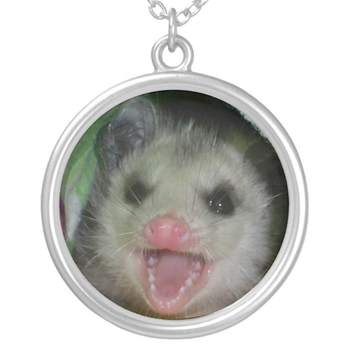 opossum necklace