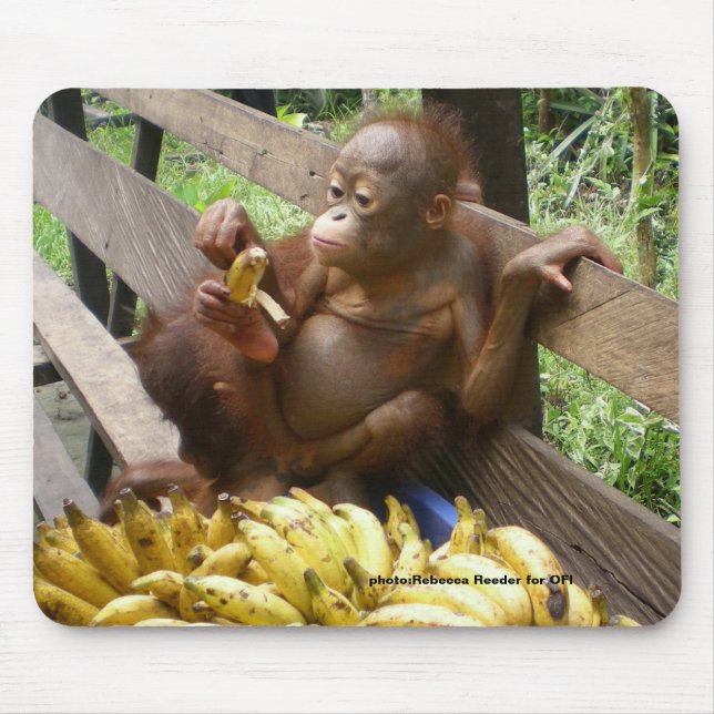 Baby Orangutan Banana Picnic   Mouse Pad (Front)