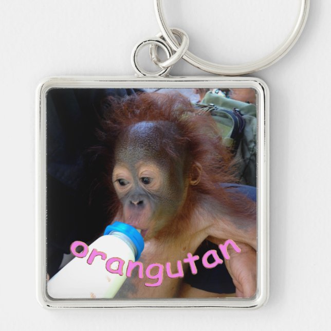 Baby Orangutan Drinks Bottle Keychain (Front)