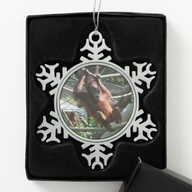 Baby Orangutan - Hang in there Snowflake Pewter Christmas Ornament (Box)