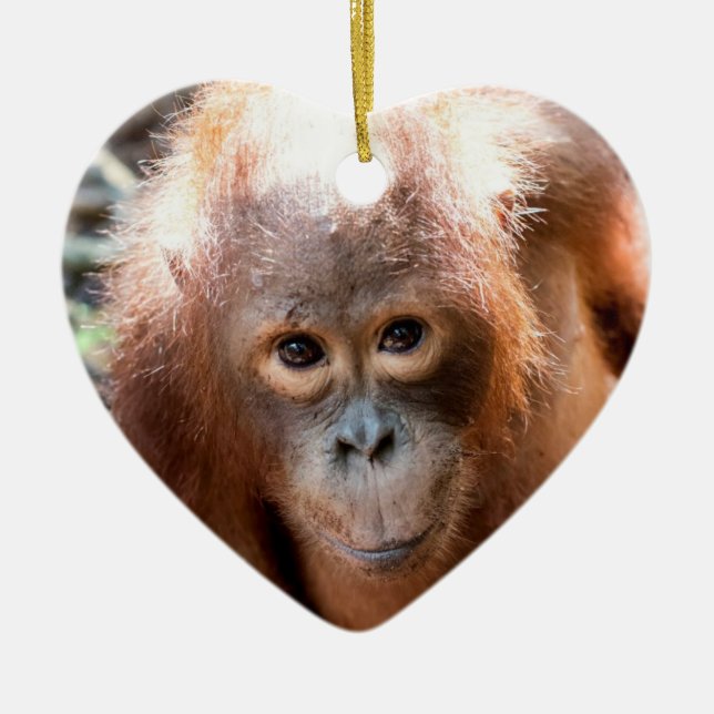 Baby Orangutan Orphan Kobe Ceramic Ornament (Front)