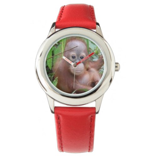 Baby Orangutan Steppenwolf Watch