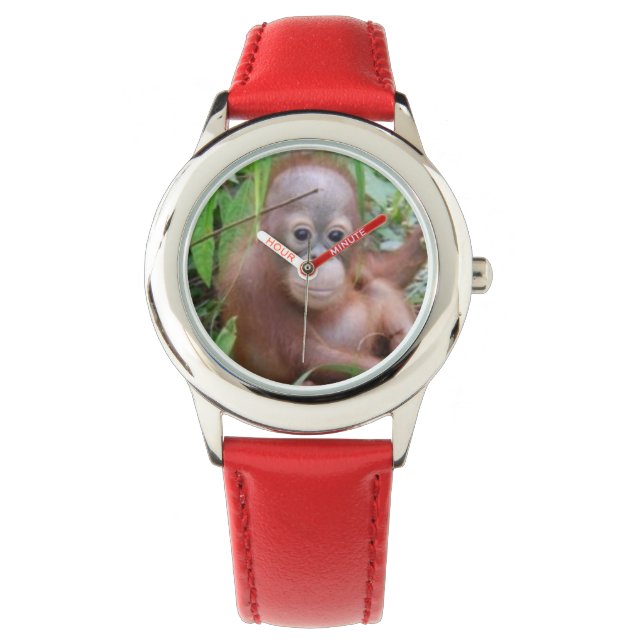 Baby Orangutan Steppenwolf Watch (Front)