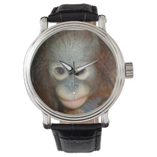 Baby Orangutan Watch