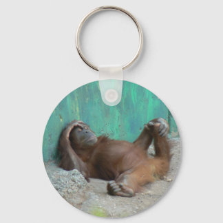 Baby orangutang resting keychain