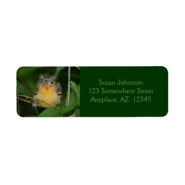 Baby Oriole Bird Animal Address Label (Front)