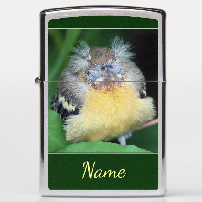 Baby Oriole Bird Personalized Animal Zippo Lighter (Front)