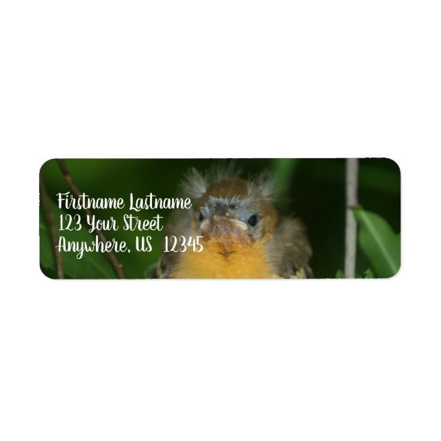 Baby Oriole Fledgling Bird Address Label (Front)