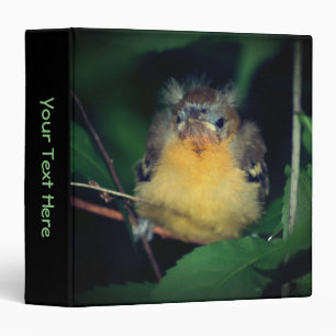 Baby Oriole Fledgling Bird Personalized 3 Ring Binder