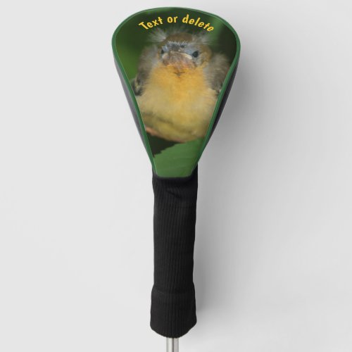 Baby Oriole Fledgling Bird Personalized Golf Head Cover
