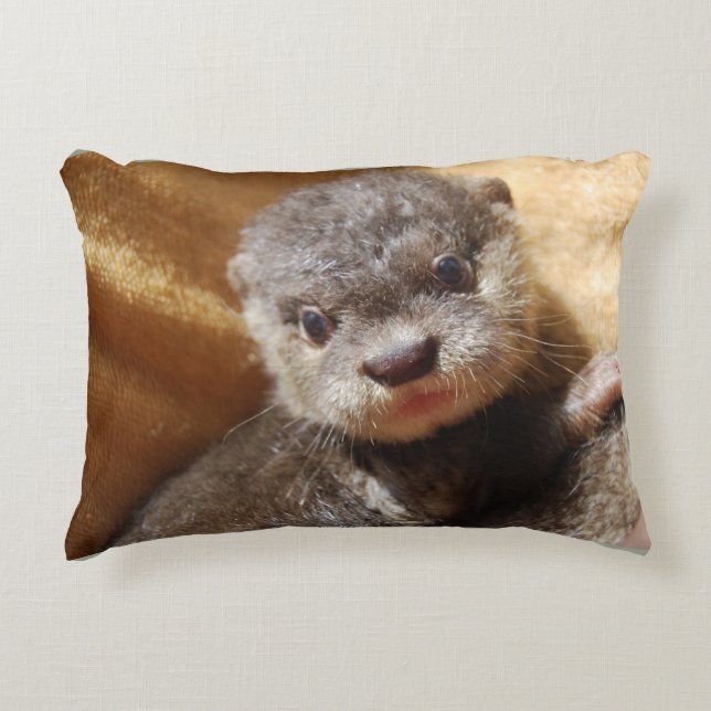 Baby otter accent pillow (Front)