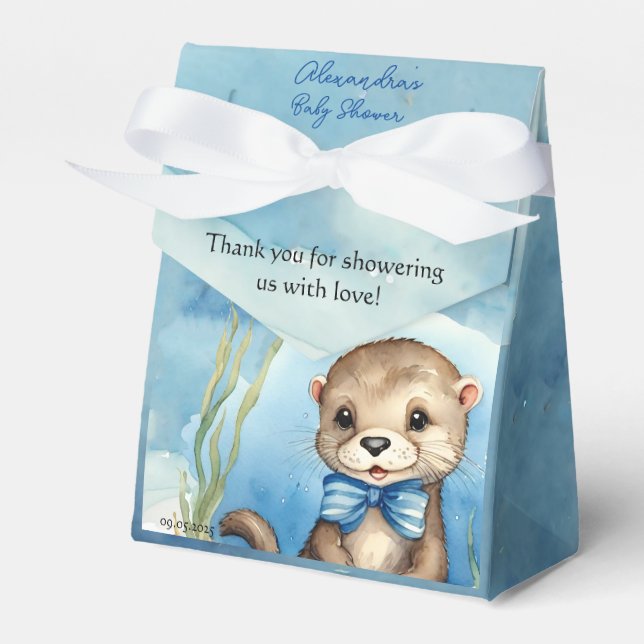 Baby Otter Boy Baby Shower Favor Boxes (Front Side)