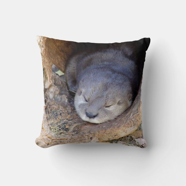 Baby Otter Throw Pillow (Front)