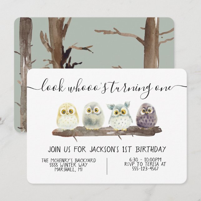 Baby Owl Birthday Party Invitation (Front/Back)