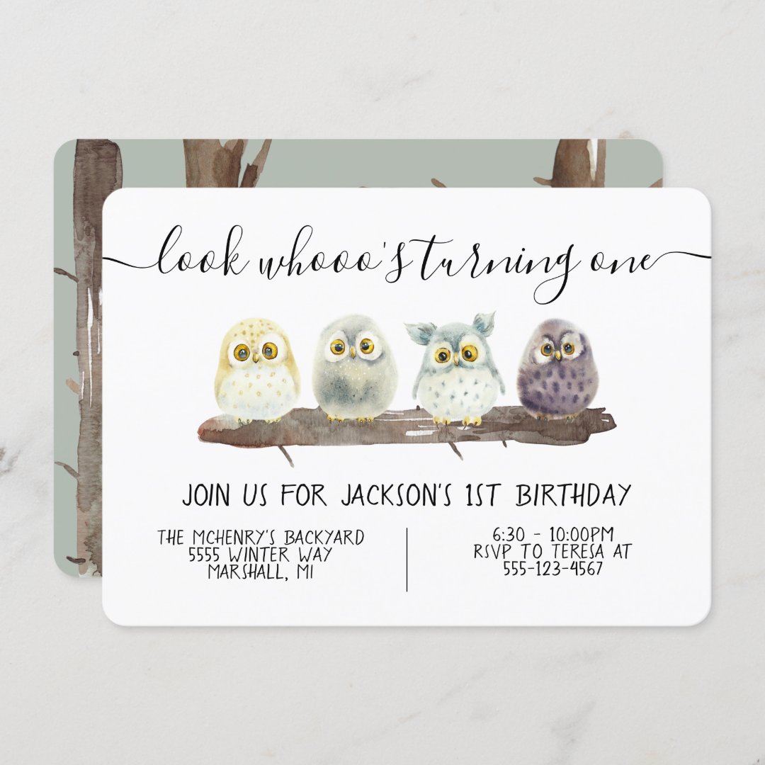 Baby Owl Birthday Party Invitation (Front/Back)