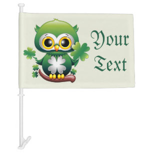Baby Owl Cute St Patrick Cartoon Car Flag