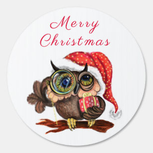 Baby Owl In Christmas Hat Sign