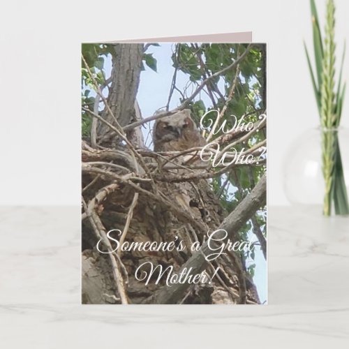 Baby Owl in Tree  Someones the Best Mother Card