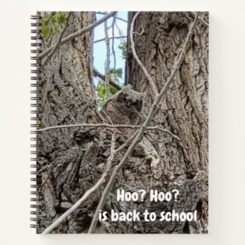 Baby Owl Photo  Hoo Hoo Typography Notebook