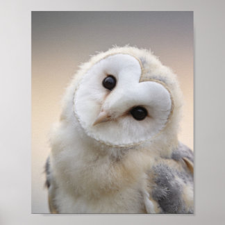 Baby Owlet Nursery Print – Woodland Wall Art