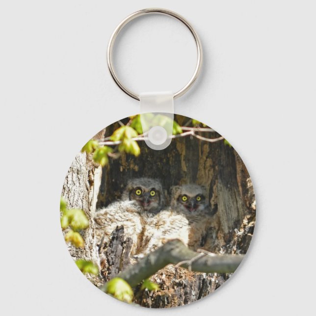 Baby Owls Keychain (Front)