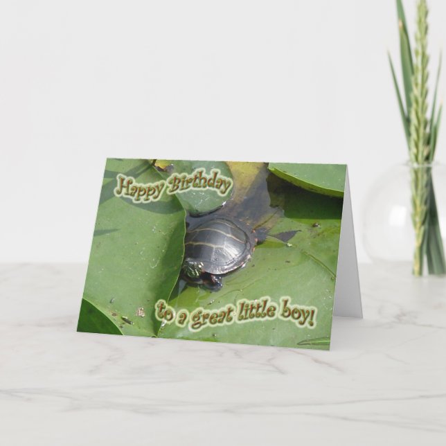 Baby Painted Turtle Birthday for Boy Card (Front)