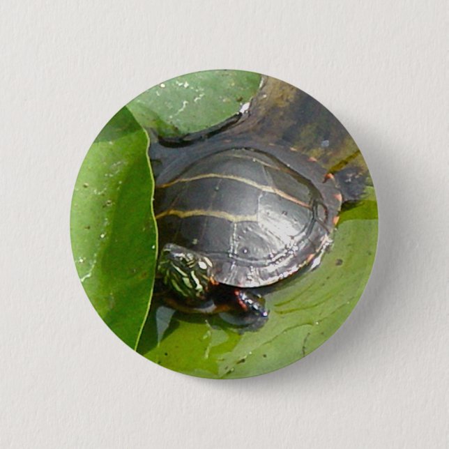 Baby Painted Turtle on Lilypad Items Pinback Button (Front)