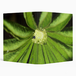 Baby Palm Plant by Shirley Taylor Binder