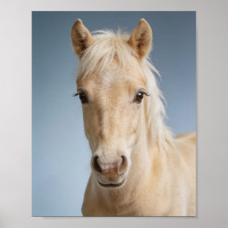 Baby Palomino Pony Portrait – Cute Nursery Animal Poster