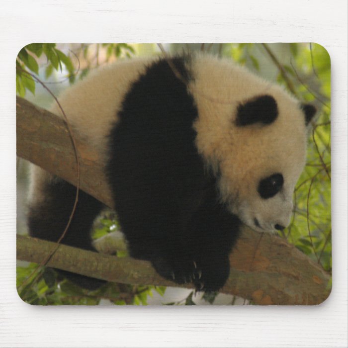 baby panda2 10x10 mousepads