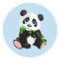 Baby Panda Bear Stickers