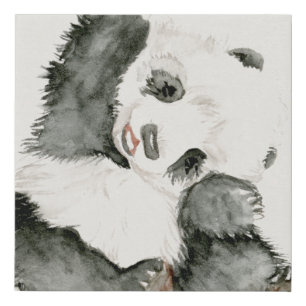 Baby Panda   Cute & Furry Faux Canvas Print