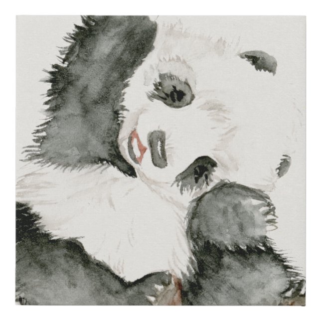 Baby Panda | Cute & Furry Faux Canvas Print (Front)