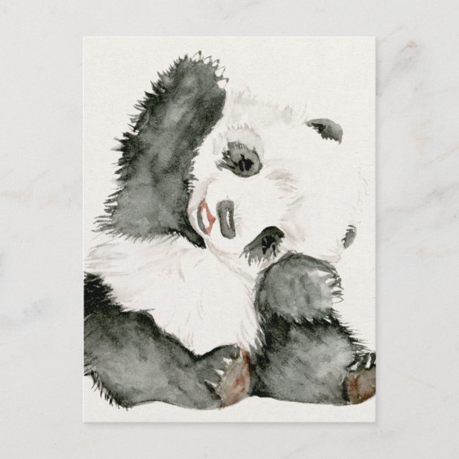 Baby Panda | Cute & Furry Postcard (Front)