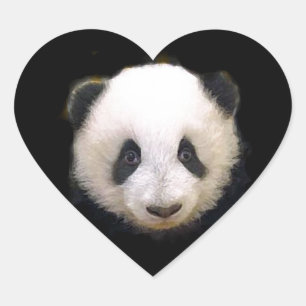 Baby Panda Heart Sticker