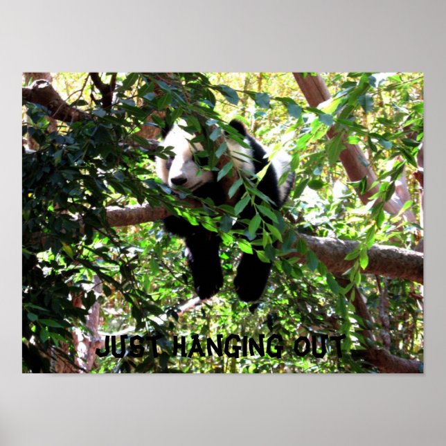 Baby Panda Humorous Poster (Front)