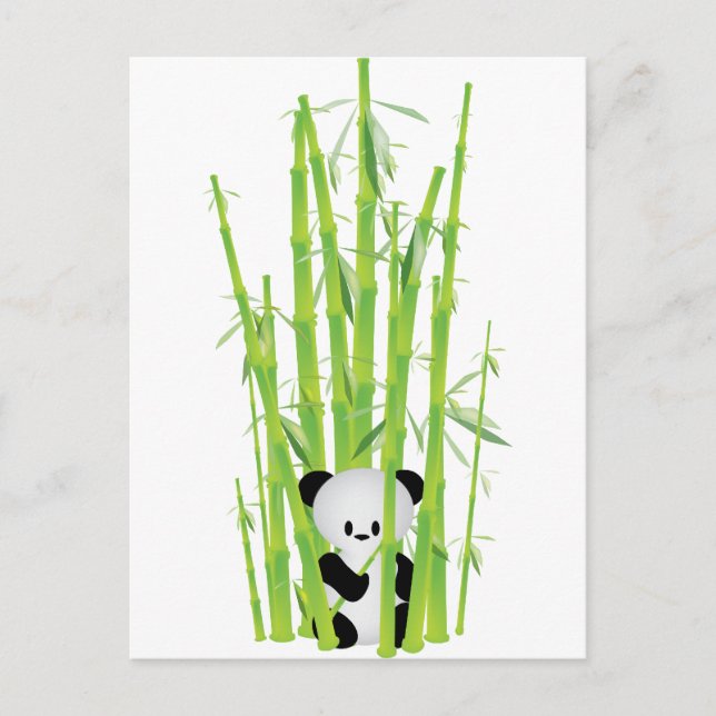 Baby Panda in Bamboo Forest Postcard (Front)