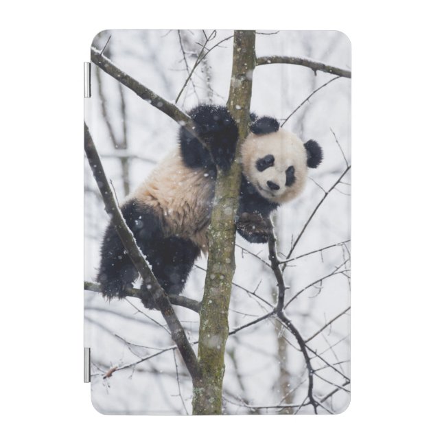 Baby Panda in Tree iPad Mini Cover (Front)