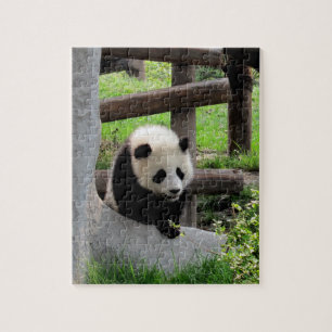 Baby Panda Jigsaw Puzzle