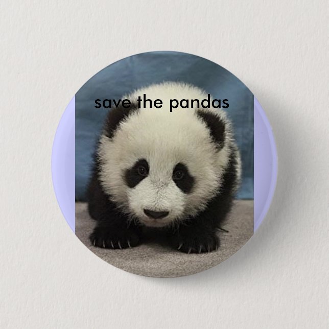baby_panda, save the pandas pinback button (Front)