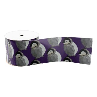 Baby penguin Birds