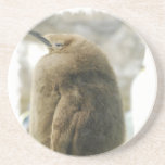 Baby Penguin Coasters