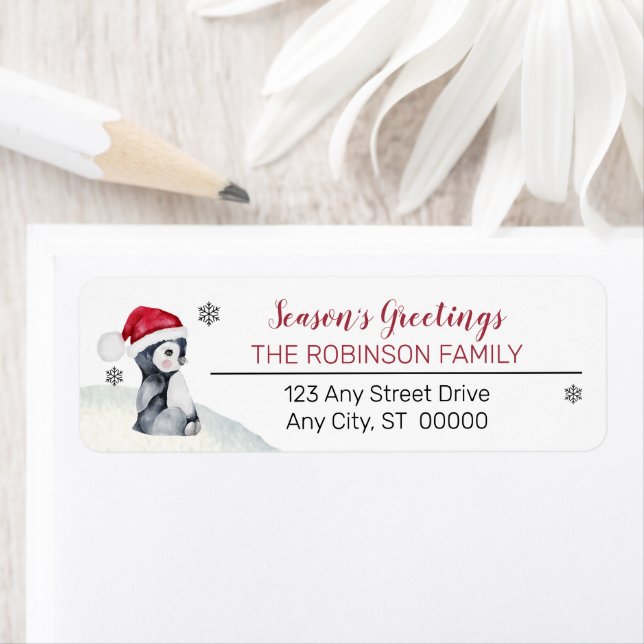 Baby Penguin | Santa Hat Season's Greetings Family Label (Insitu)