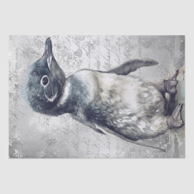Baby Penguin Tissue Paper (Front)