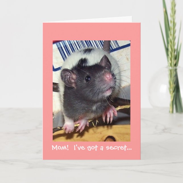 Baby Pet Rat Mother's Day Card (Front)