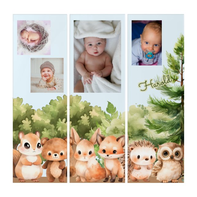 Baby Photo Woodland Forest Animals Triptych (Front)