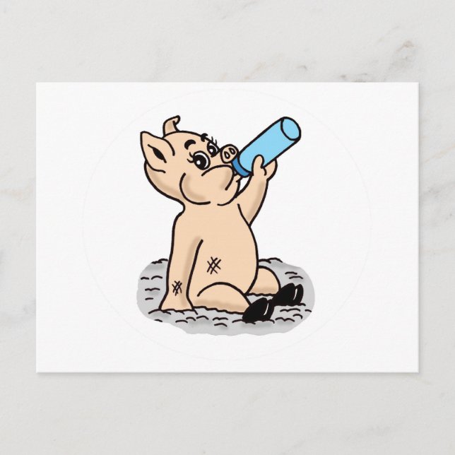 Baby Pig Cartoon Postcard (Front)