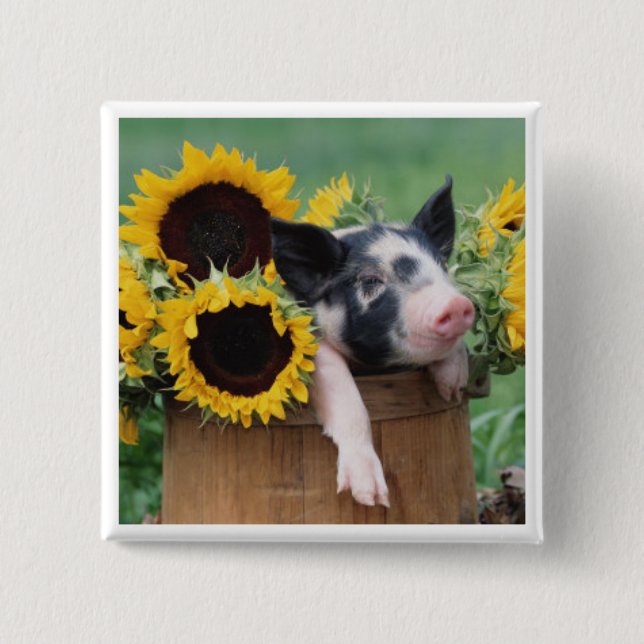 Baby Piglet Pig Button (Front)