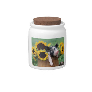 Baby Piglet Sunflowers Candy Jar